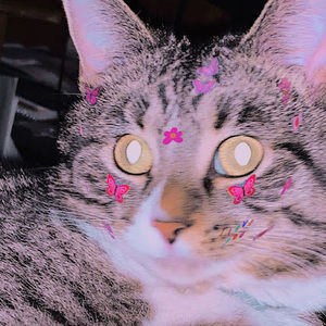 Meet your Posher, Eden